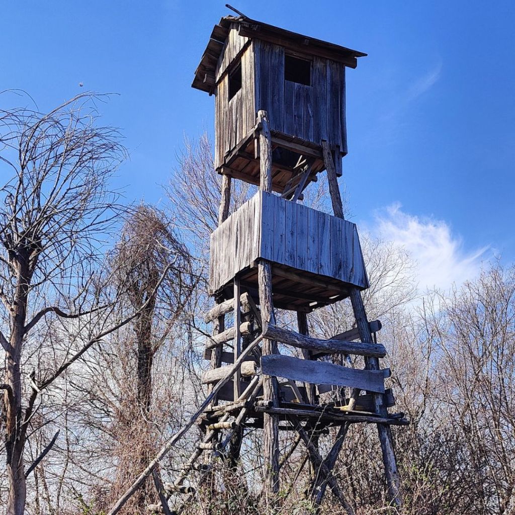 Wooden birdwatching tower in Fruska Gora National Park in Serbia