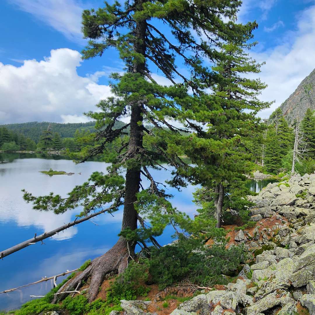 Hrid lake view in Prokletije National Park