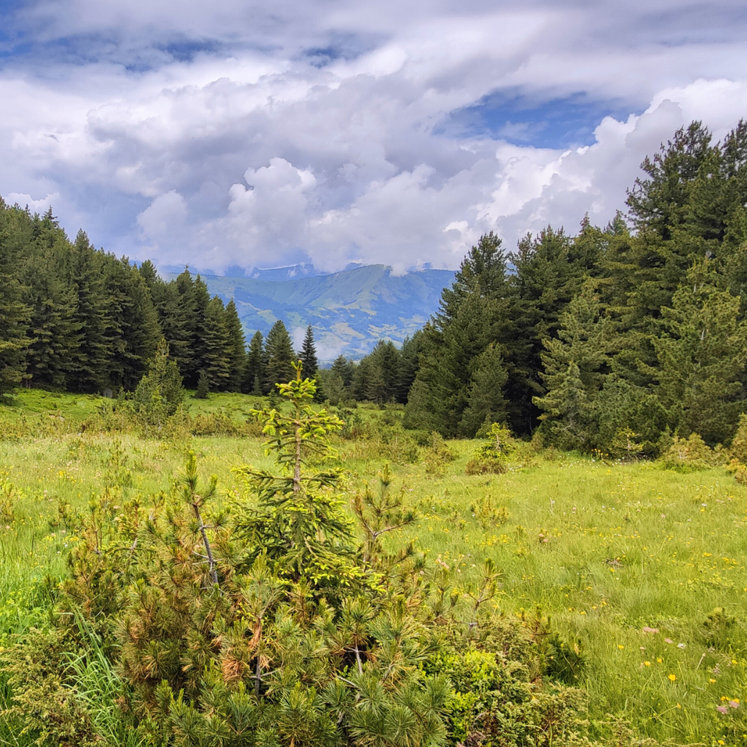 Sunny mountains with in clouds in Prokletije National Park near Plav Montenegro