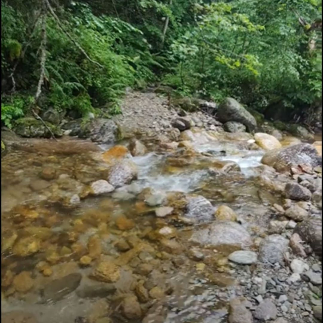 The river in Prokletije National Park near Plav Montenegro