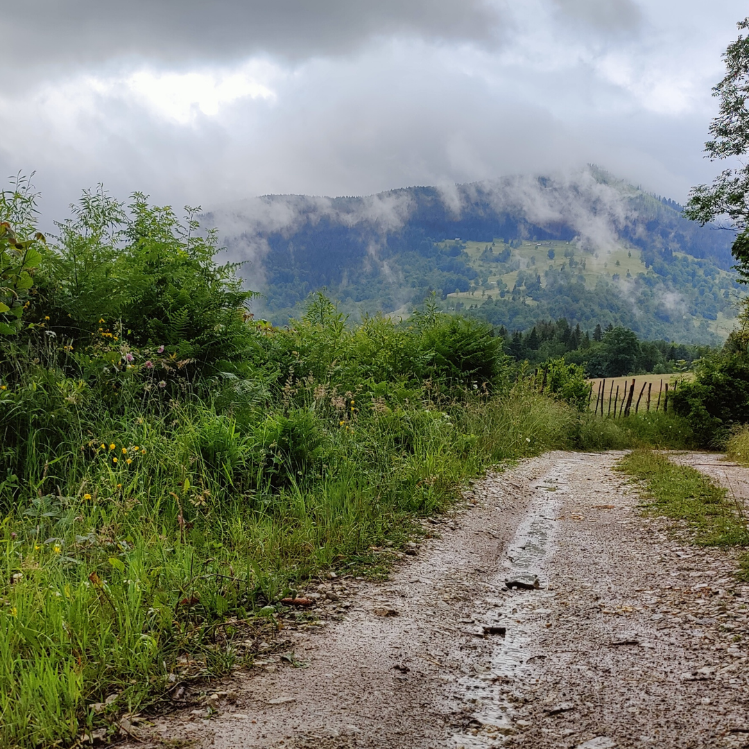 The hiking path during rain and fog in July in Prokletije National Park Montenegro