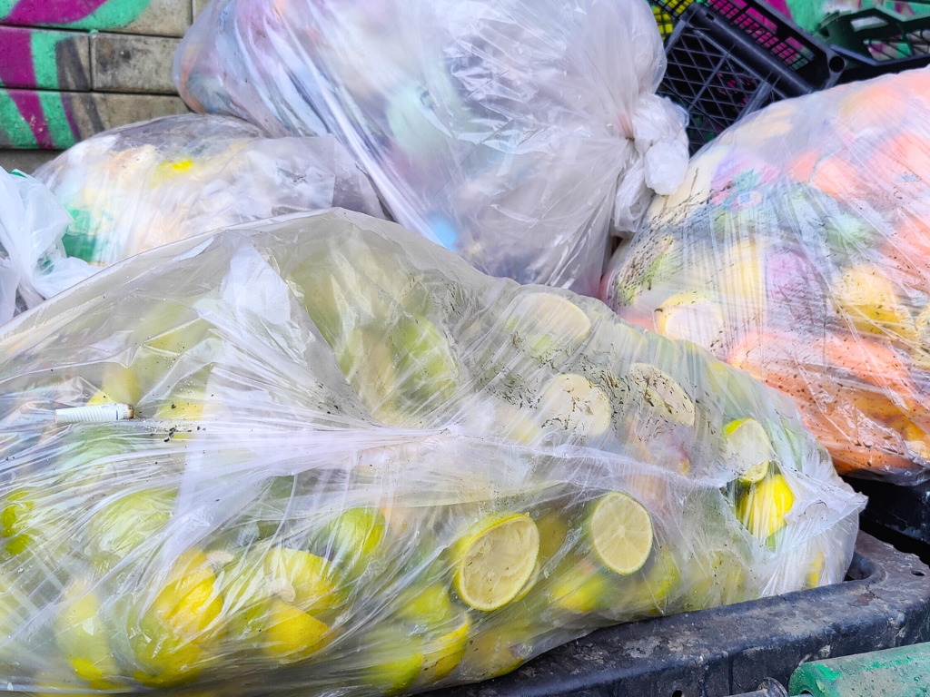 lime-lemon-orange-plastic-bag-bin-food-waste