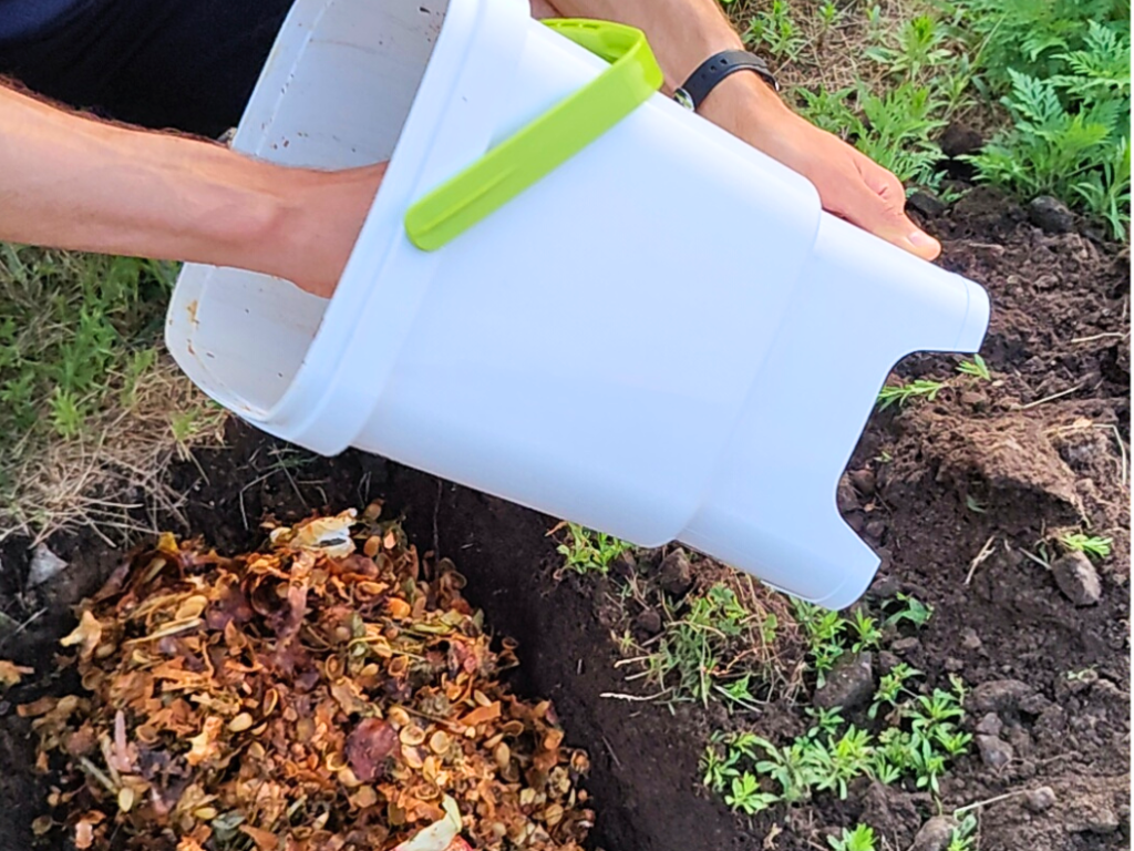 Top 5 the most popular composting methods pros and cons Travel and