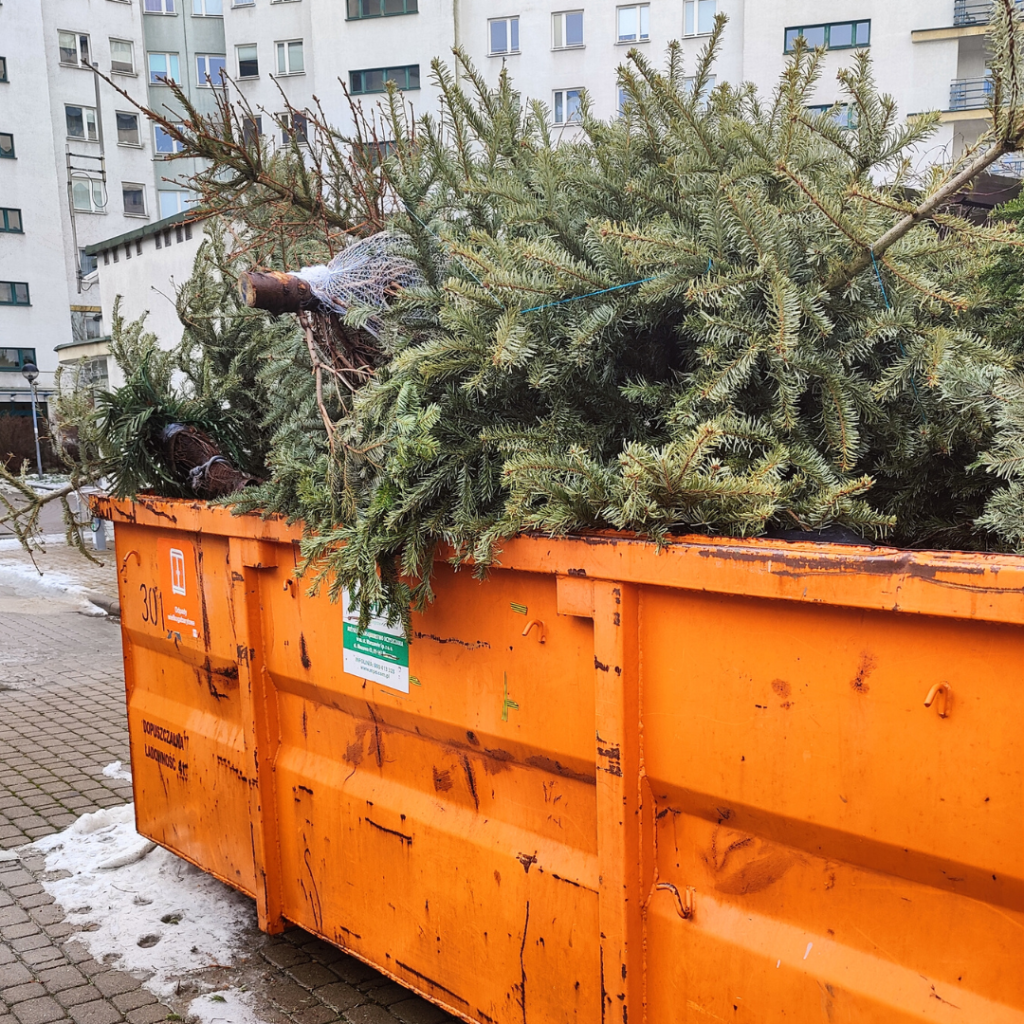 How to recycle Christmas Tree: 2025 Europe capitals full&nbsp;guide